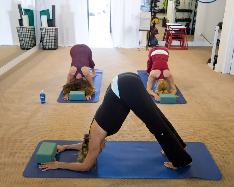 Students holding downward-facing dog on mats in a bright studio